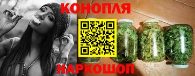 a pvp Бийск