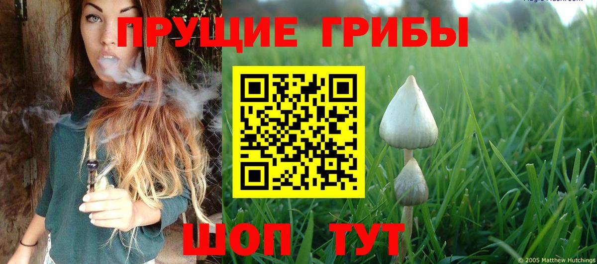 Галлюциногенные грибы ЛСД  Вход с VPN  Карачаевск  Галлюциногенные грибы мицелий 