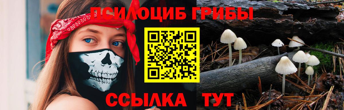 Галлюциногенные грибы MAGIC MUSHROOMS Карачаевск